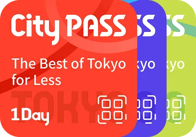 1 day ticket