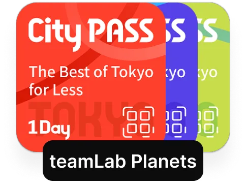 3 day ticket
